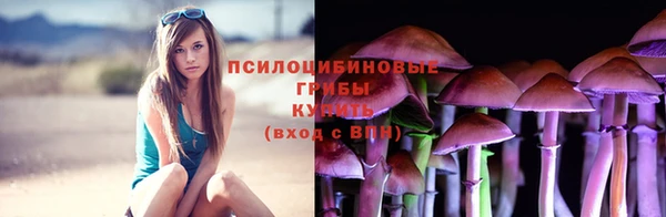 дмт Беломорск