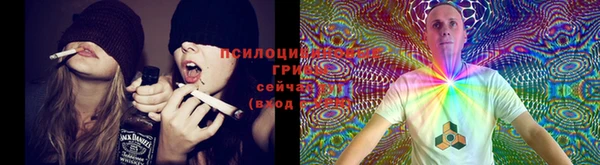 прущая мука Белоозёрский