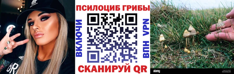 где продают наркотики  Валуйки  Псилоцибиновые грибы мухоморы 