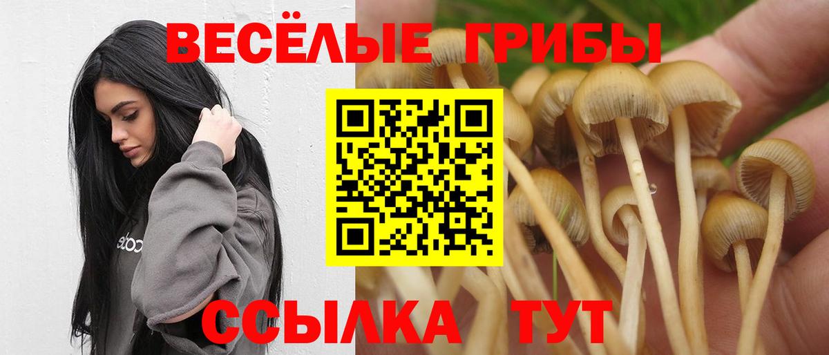 Галлюциногенные грибы Magic Shrooms Валуйки